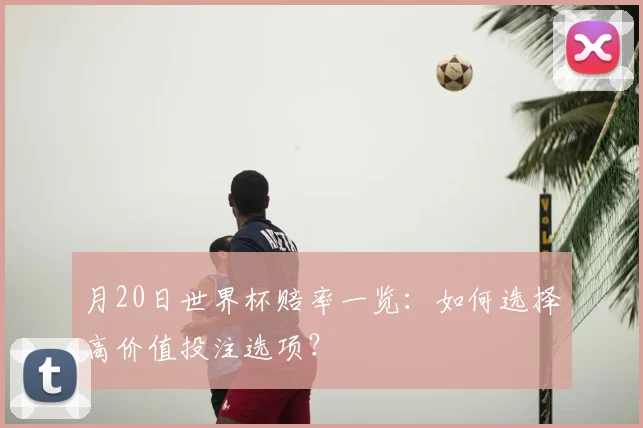 月20日世界杯赔率一览：如何选择高价值投注选项？