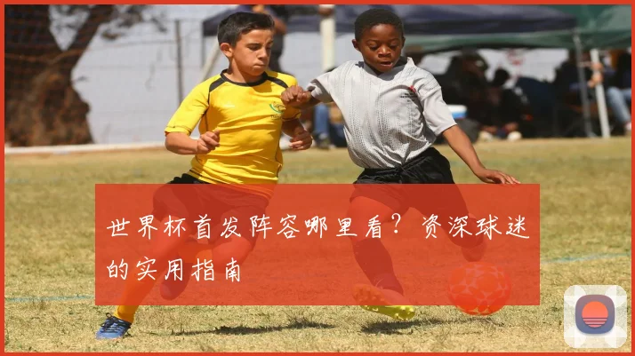 世界杯首发阵容哪里看？资深球迷的实用指南