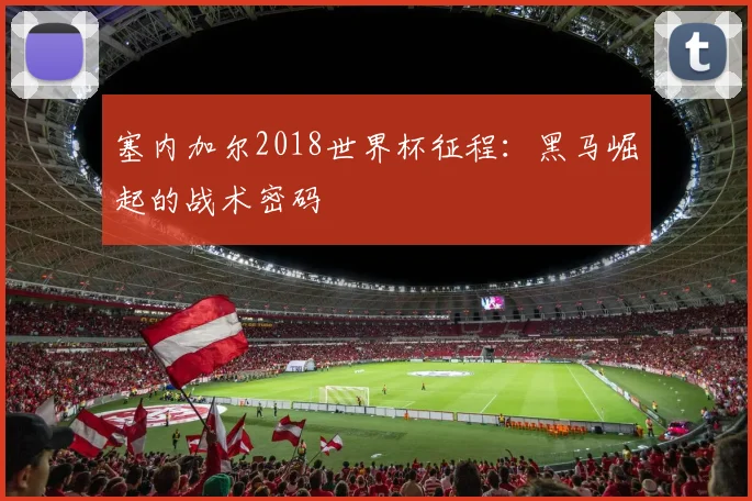 塞内加尔2018世界杯征程：黑马崛起的战术密码