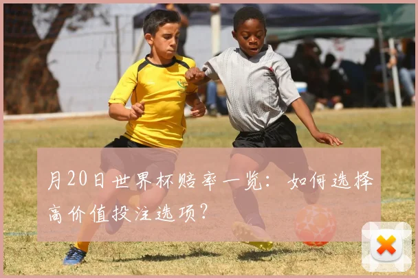 月20日世界杯赔率一览：如何选择高价值投注选项？