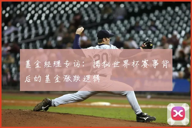 基金经理专访：揭秘世界杯赛事背后的基金涨跌逻辑